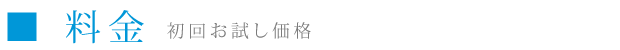 料金　初回お試し価格